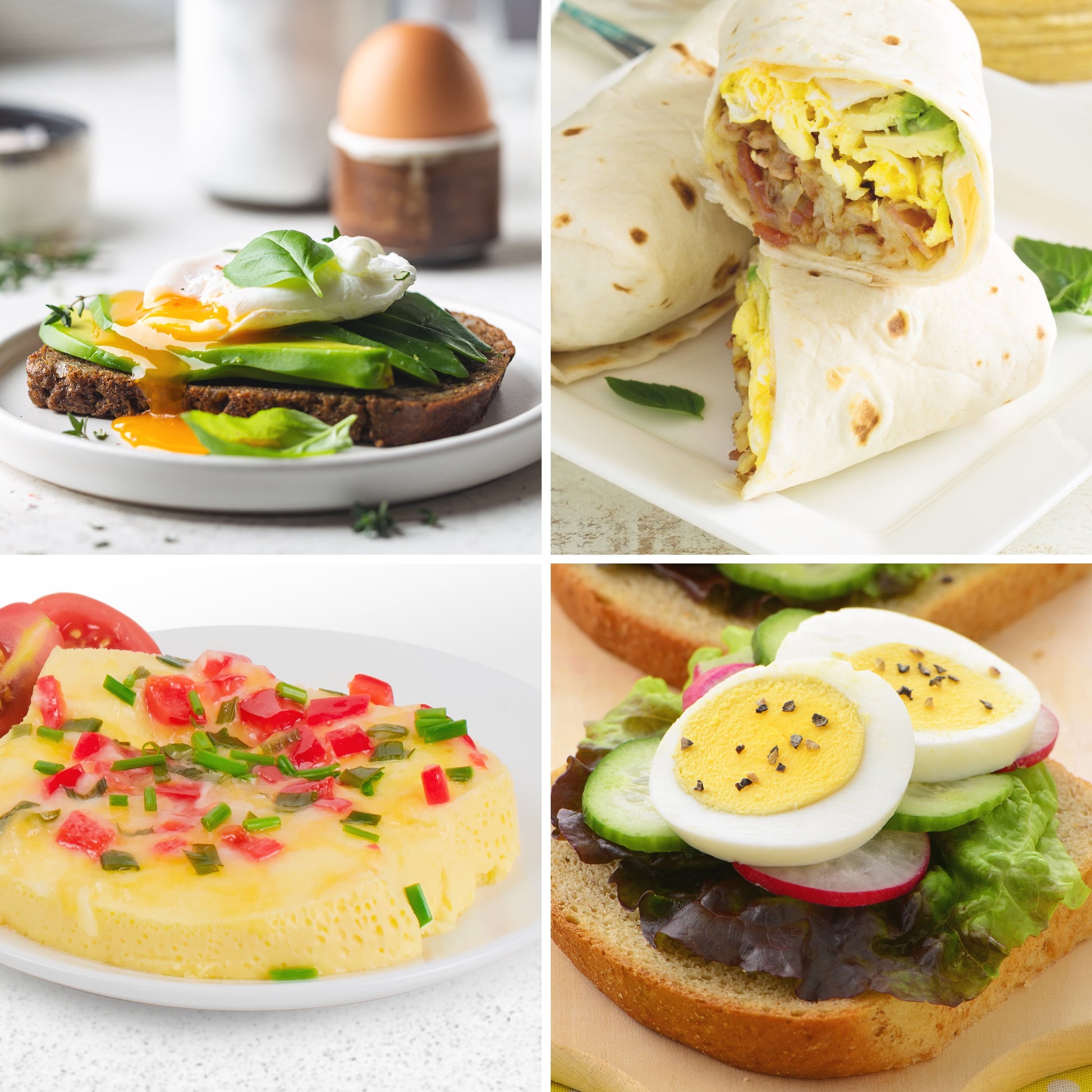 Premium 7-Egg Cooker